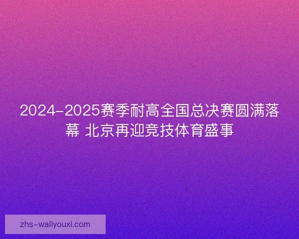 2024-2025赛季耐高全国总决赛圆满落幕 北京再迎竞技体育盛事